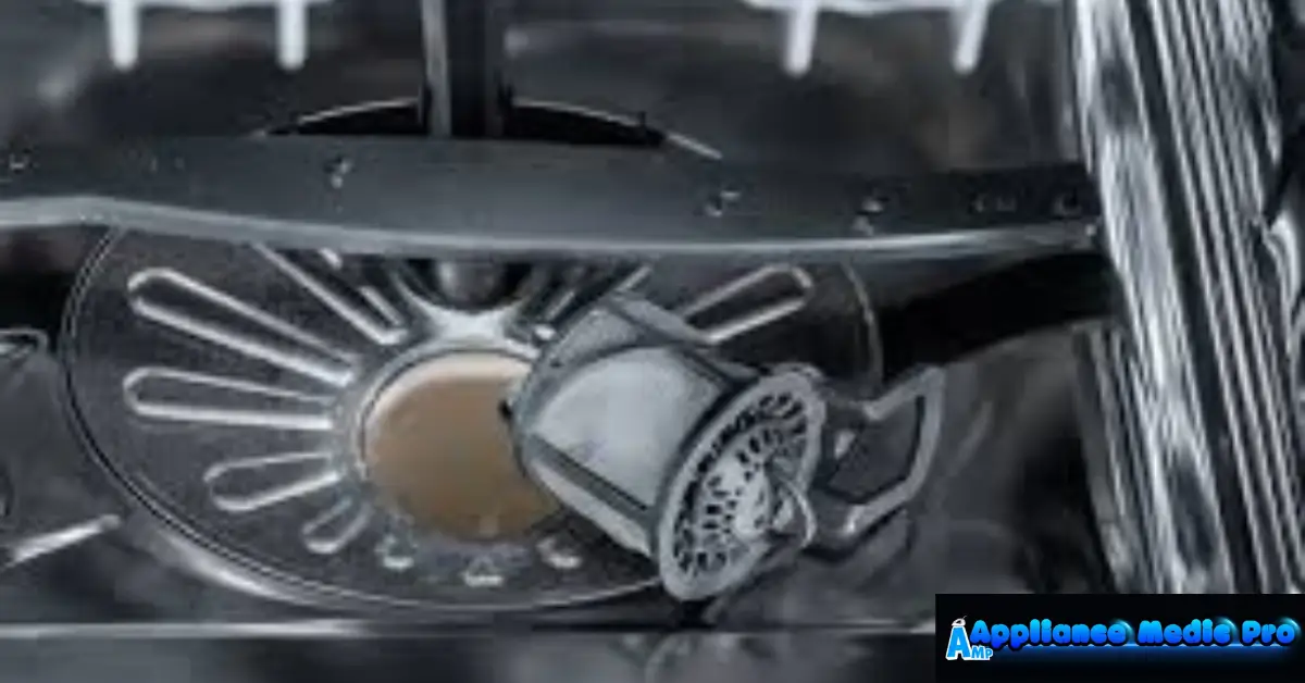 Dishwasher Filter Clogged
