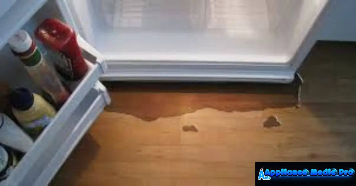 Fridge Leaking Water on Floor