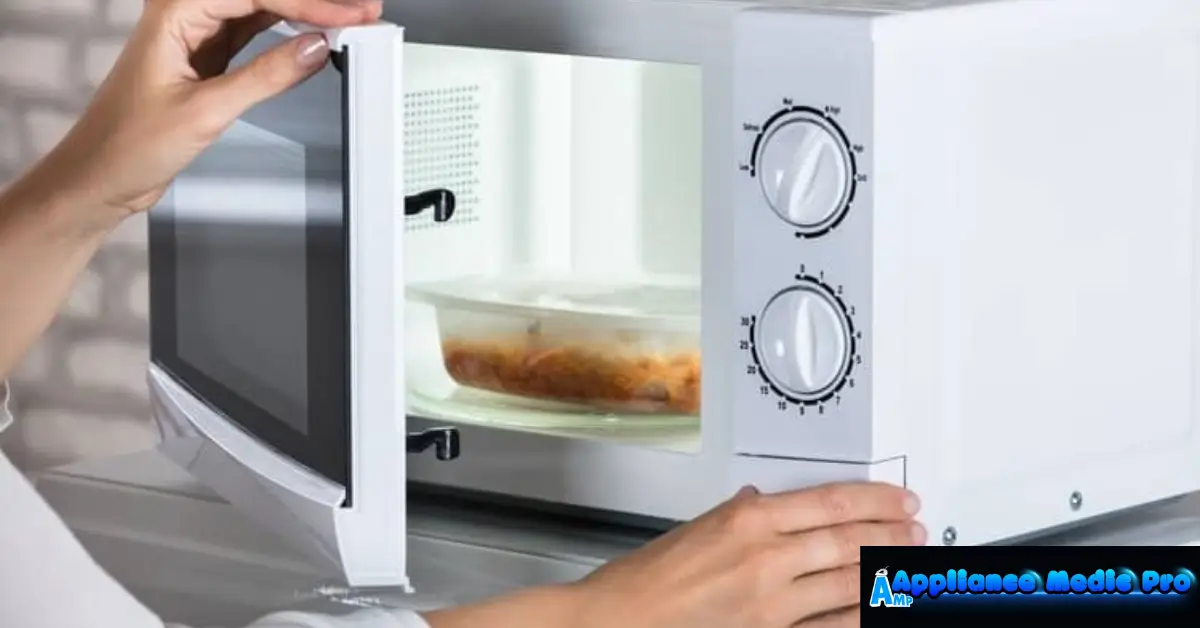 Microwave Making Loud Buzzing Noise