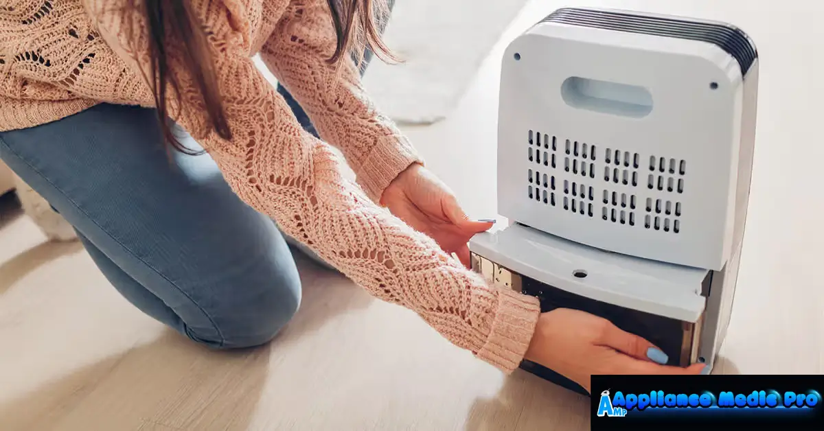 Dehumidifier Smells Bad