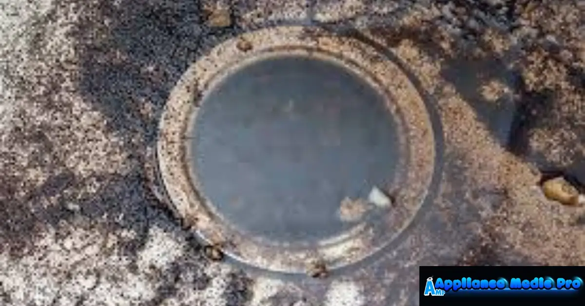 Garbage Disposal Smells Rotten